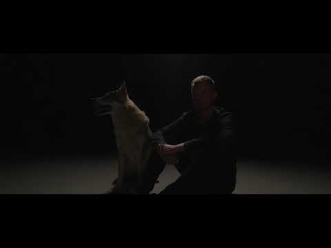 stego - rænn (official videoclip)