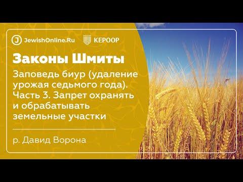Законы шмиты. Урок 20. Заповедь биур. Часть 3. Запрет охранять и обрабатывать земельные участки