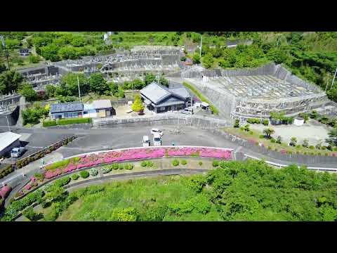 動画サムネイル