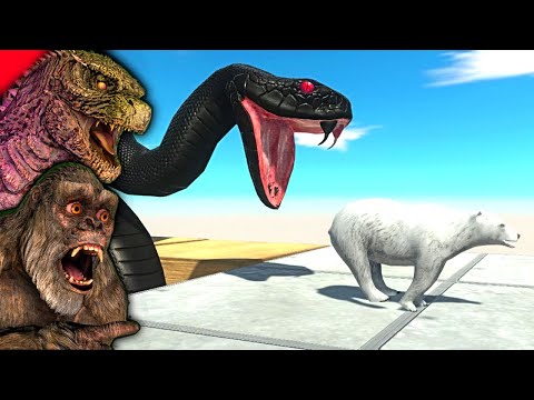 Which ANIMAL Can Escape The Black Mamba?