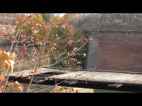 Most pro pevnost Terezín