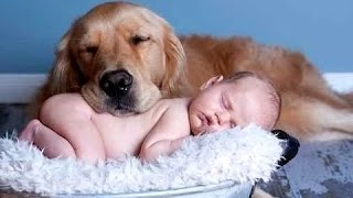 Najlepsze śmieszne koty i psy kochają dzieci. Kompilacja | Nowy