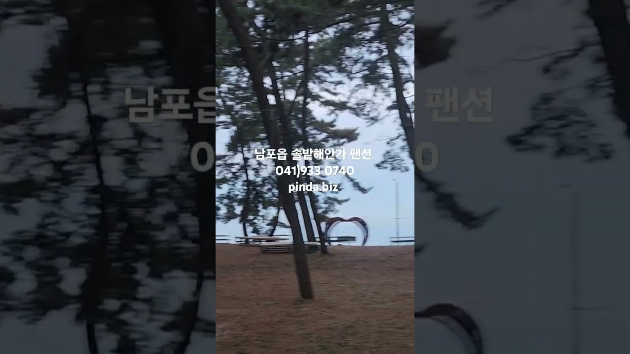 남포면 솔밭해안가펜션