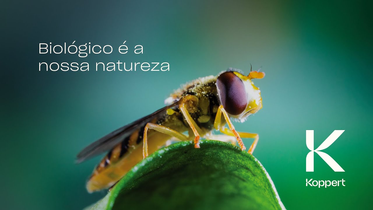 Video preview poster