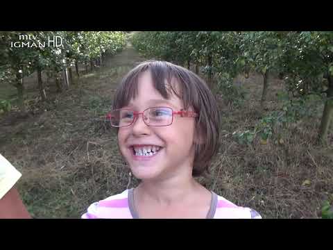 EMISIJA "MLAĐAK" 22.09.2018. - MTV IGMAN