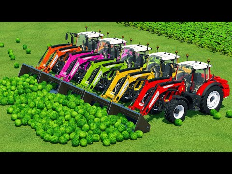 HARVEST, LOAD & TRANSPORT WATERMELONS WITH FENDT TRACTORS - Farming Simulator 22