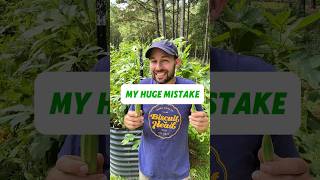 My Huge Mistake with Growing Okra #shorts #garden #gardening #okra #growsomefood #growvegetables