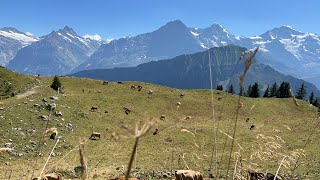 【ライブ148】アルプス