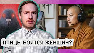 Монах в Counter-Strike || Птицы-сексисты || В тюрьму за ии-слоп