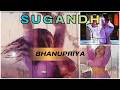 Bhanupriya Rain Song And Romantic Scenes Compilations