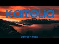 Akcent feat Lidia Buble & DDY Nunes - Kamelia (lyrics)