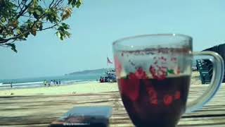 Download lagu Status whatsapp  Lagu iwan fals  lokasi sawarna beach mp3