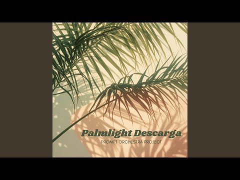 Café del Sol Session