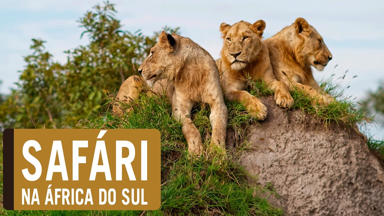 SINGITA LEBOMBO - O MELHOR LODGE DE SAFÁRI DO MUNDO, NO KRUGER PARK, NA ÁFRICA DO SUL