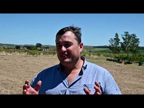 FINCA PIEDRA/SAN JOSÉ