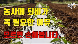왜 퇴비를 줘야 하는가? 퇴비(유기물)를 주면 좋은점
