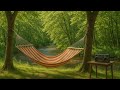 Forest Frank Playlist Ambience Down By The River AUG 2025