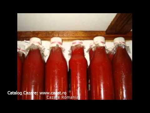 Cazare Checea, Timis - Cazat.ro