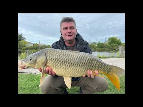 2022 Carp Fishing Daniel Pasca