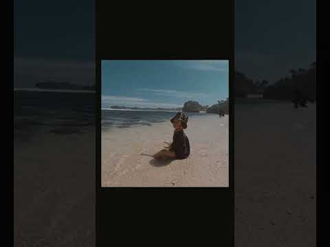 pantai ngandong gunung kidul