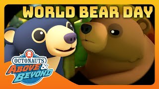 Octonauts: Above & Beyond - 🌎 World Bear Day 🐻 | Compilation | @Octonauts​