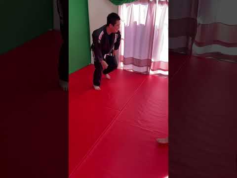 【柔術】基本動作『後転倒立』#shorts #jiujitsu #bjj #柔術 #ブラジリアン柔術 #mjjlab