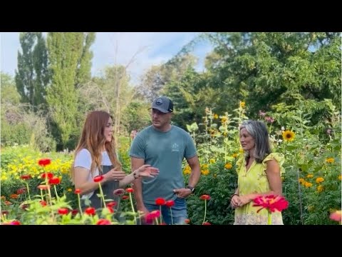 From Fresh Blooms to Dried Flowers | Charo’s Flower Garden Tour