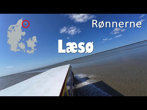 Havsafari på Rønnerne, Læsø  🇩🇰