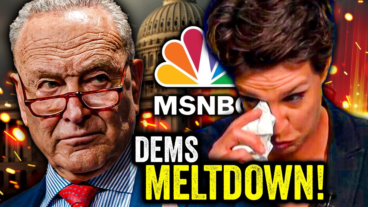 MSNBC LOSES THEIR MINDS as Humiliated Schumer CAVES!!!