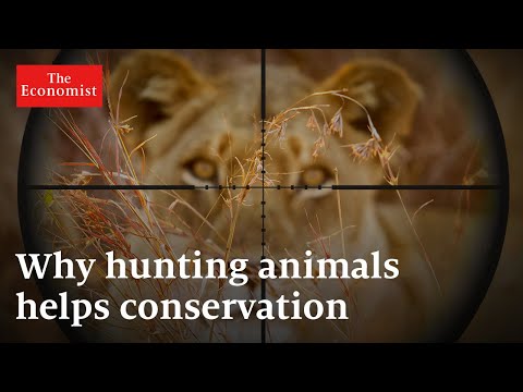 Why hunting animals could be good for conservation | The Economist