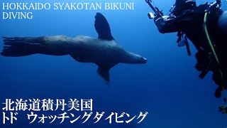 クラブキッズ(CLUB KID'S)