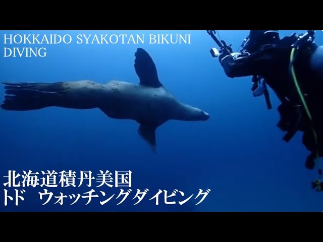 クラブキッズ(CLUB KID'S)