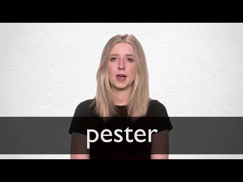 How to pronounce PESTER in British English