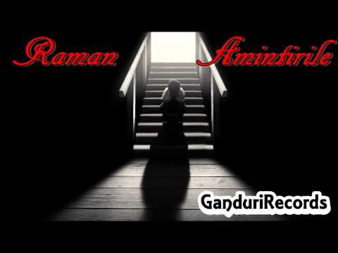 Dooremy feat. Kripton - Raman Amintirile