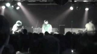 animal collective daffy duck