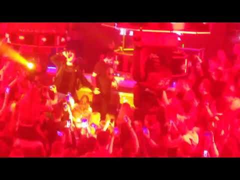 Koncert Tymek językiem ciała