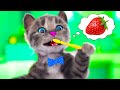 PLAYFUL LITTLE KITTEN ADVENTURE SPECIAL FUN LITTLE KITTEN AND HIS ADVENTURE SPECIAL LONG JOURNEY