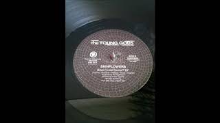 the YOUNG GODS - Skinflowers Brain Forest Remix (The Orb Style)