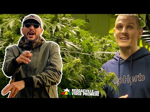 REKALL feat. Million Stylez - Ganja Love (Remix) [Official Video 2020]