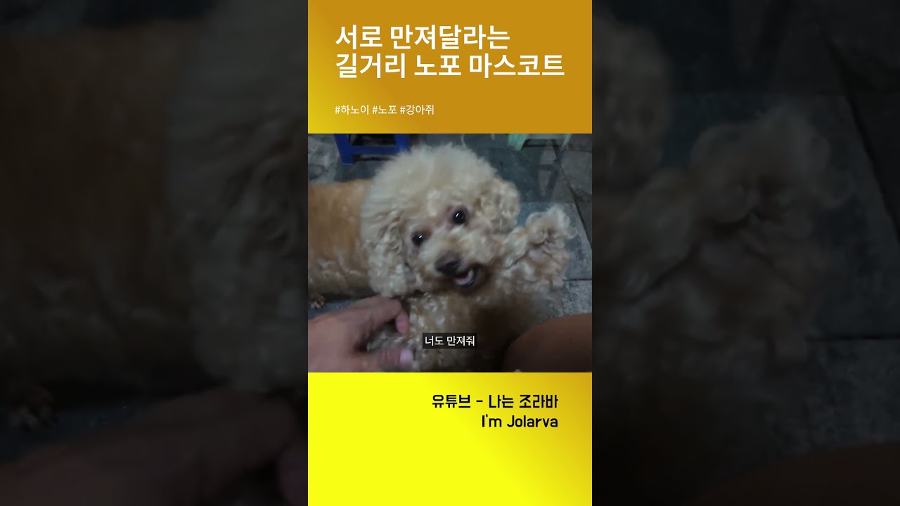 베트남 하노이 노포 마스코트#베트남 #하노이 #노포 #길거리맛집 #하노이맛집