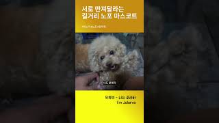 베트남 하노이 노포 마스코트#베트남 #하노이 #노포 #길거리맛집 #하노이맛집