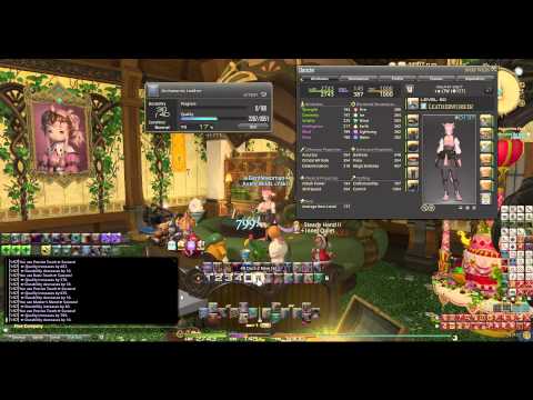 FFXIV  General Crafting Macro LV 51-52 Durability 40 or 35