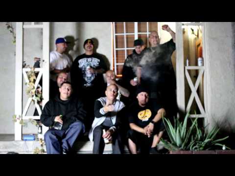 SOLO-THEY CANT BE TRUSTED (OFFICIAL VIDEO)