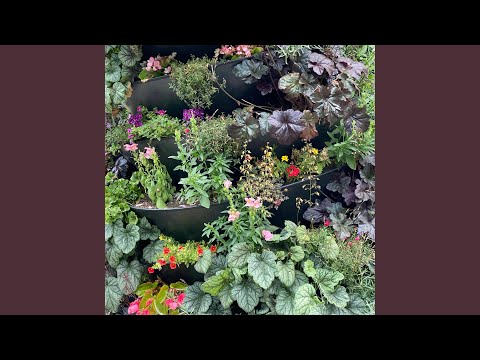 Wer hätte das gedacht