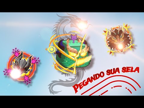 Pegando a sela da Dragon 🐲