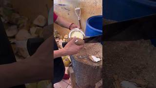 Esta fruta crece dentro del COCO ?