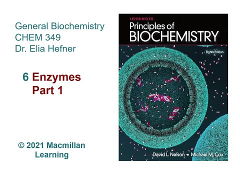 Chapter 6 - Enzymes (Part 1)