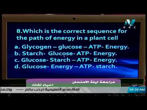 أحياء لغات الصف الأول الثانوي 2020 ترم أول الحلقة 19 والأخيرة - مراجعة ليلة الامتحان