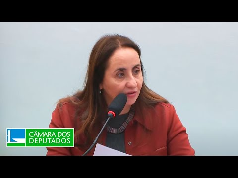 Governança técnica no Sistema Nacional de Educação (SNE) - Educação - 31/10/2024