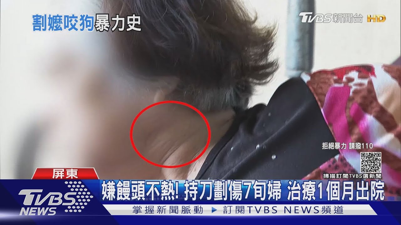 多次暴力行為!咬狗、砍傷七旬婦 檢方將預防性聲押